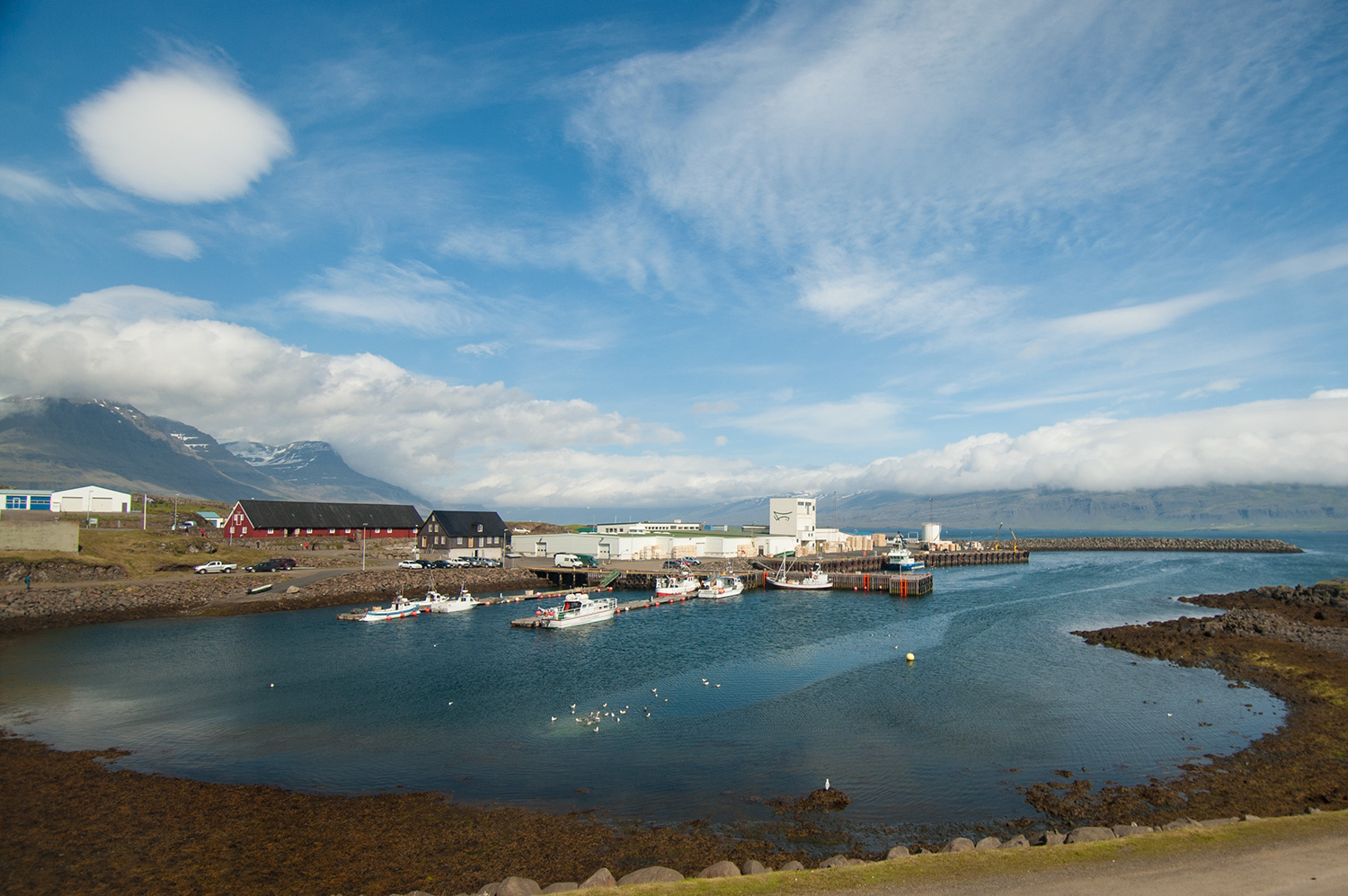 La vue de notre magnifique petit hôtel de Djúpivogur.