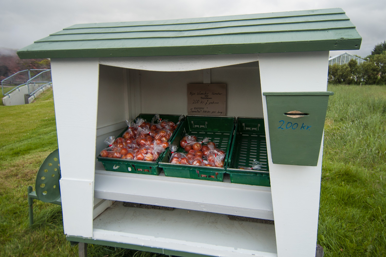Beaucoup de serres autour des sources chaudes. Ici, laisse 200 Kr. et tu repars avec un sac de bonnes petites tomates. Ce qu'on a fait... Ce fût un bon petit snack!