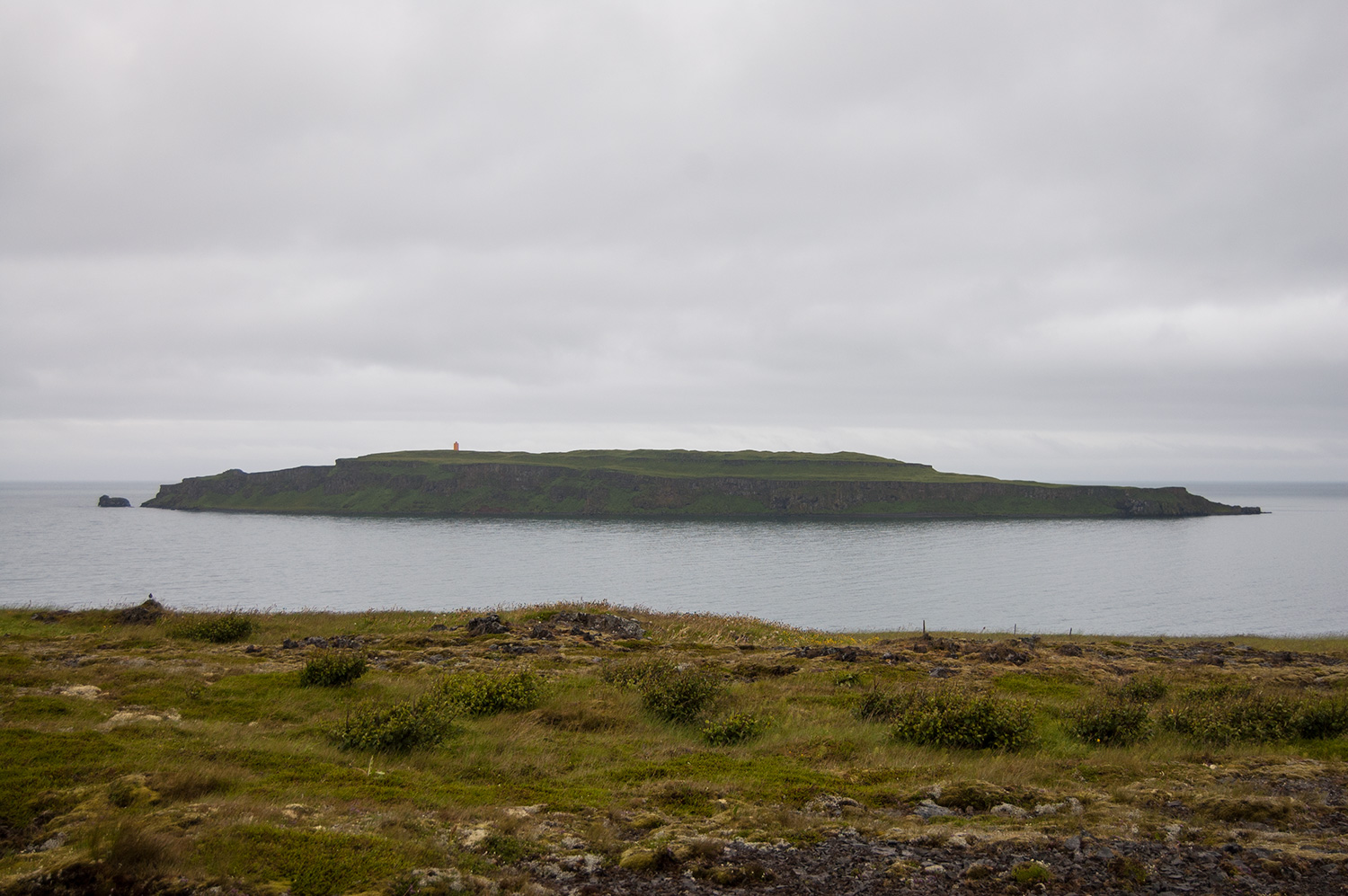 L'île où on aurait pu voir des macareux.